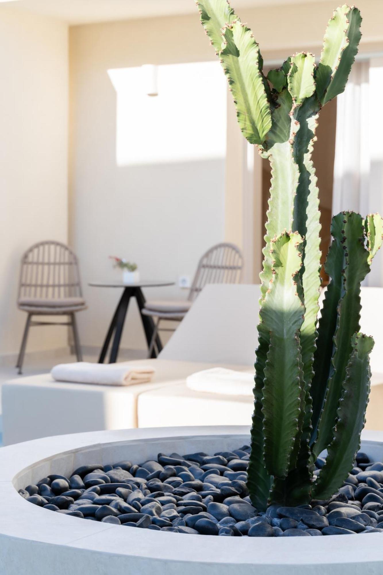 Heyday Luxury Suites Períssa Extérieur photo